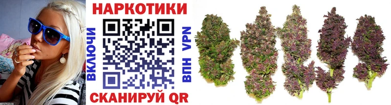 Где купить Южно-Сахалинск МЕГА вход  ГАШ  Cocaine  Alpha-PVP 