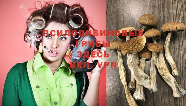 mdma Майский