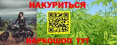 сатива Краснокаменск