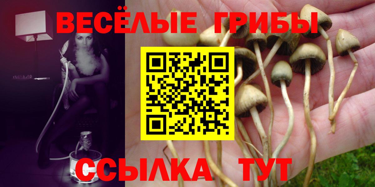 Псилоцибиновые грибы Psilocybine cubensis Южно-Сахалинск
